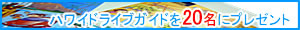 �w�n���C�h���C�u�K�C�h�x��20���Ƀv���[���g�I