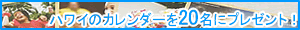 �n���C�̃J�����_�[�v���[���g