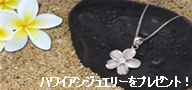 �w�n���C�A���W���G���[�x�v���[���g�L�����y�[��