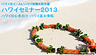 �n���C�Z�~�i�[2013