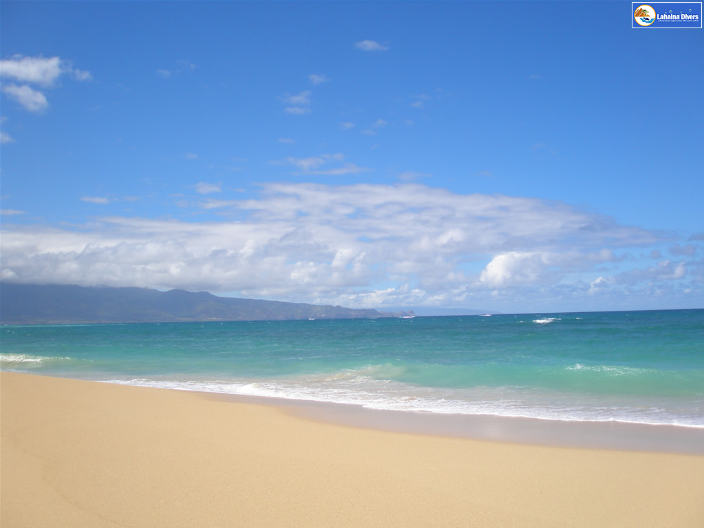 ハワイの壁紙 In The Paradise World 風景 ボールドウィン ビーチ パーク Hawaii プラスハワイ