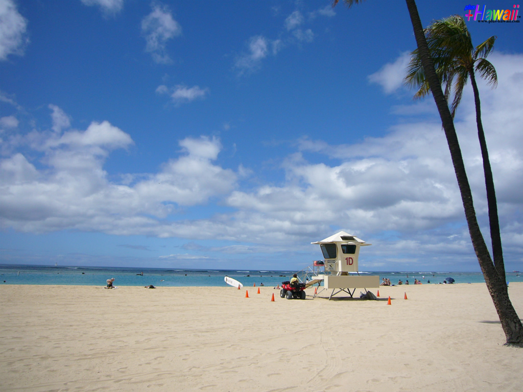 ハワイの壁紙 In The Paradise World 風景 アラモアナビーチ Hawaii プラスハワイ