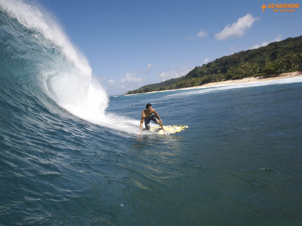 The Famous Backdoor / Pipeline bottom turn