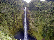 AJJ̑ (Akaka Falls)