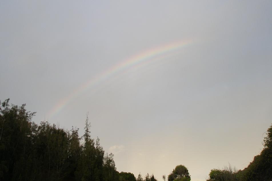 オーロラと波打つ虹