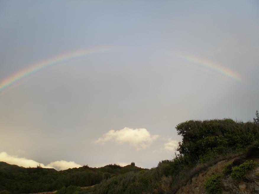 オーロラと波打つ虹
