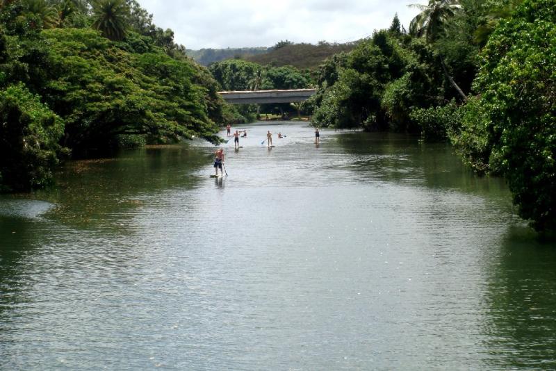 STAND UP PADDLE