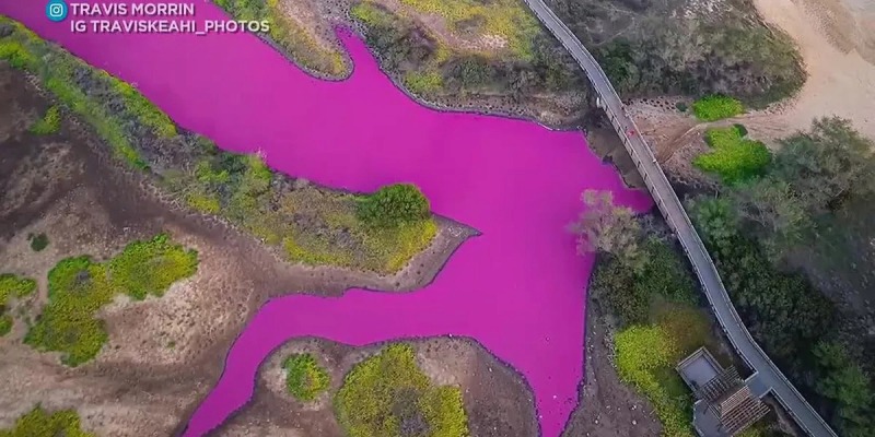 マウイ島のケアリア池の色がピンクに変色