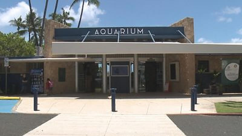 全米で2番目に古いワイキキ水族館が120周年を迎えた