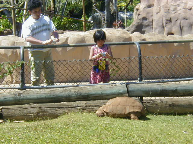 ホノルル動物園