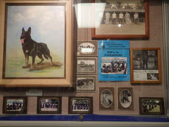 K9の活躍い